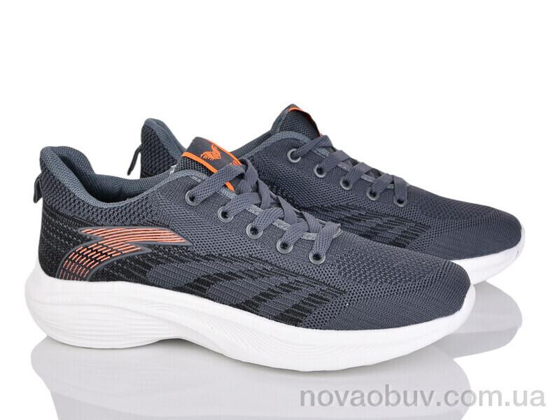 Кросівки Lion-Lu Z121 grey